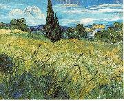 Vincent Van Gogh Green Wheat Field with Cypress Spain oil painting artist
